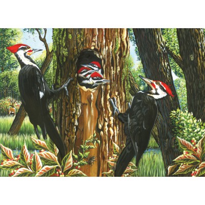 Puzzle Cobble-Hill-51719 Pileated Woodpeckers