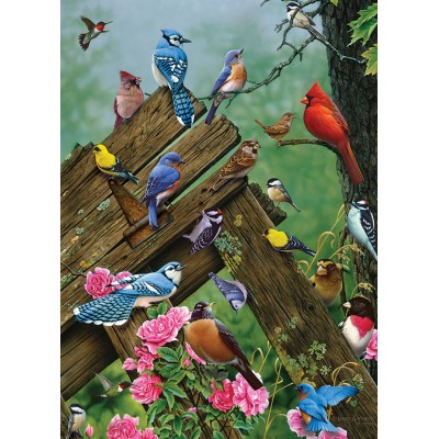 Puzzle Cobble-Hill-51781 Birds of the Forest