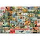 National Birds of the World