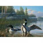 Puzzle   Common Loons
