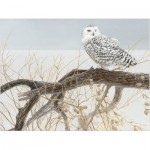 Puzzle   XXL Pieces - Fallen Willow Snowy Owl