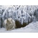 Robert Bateman - Dozing Lynx