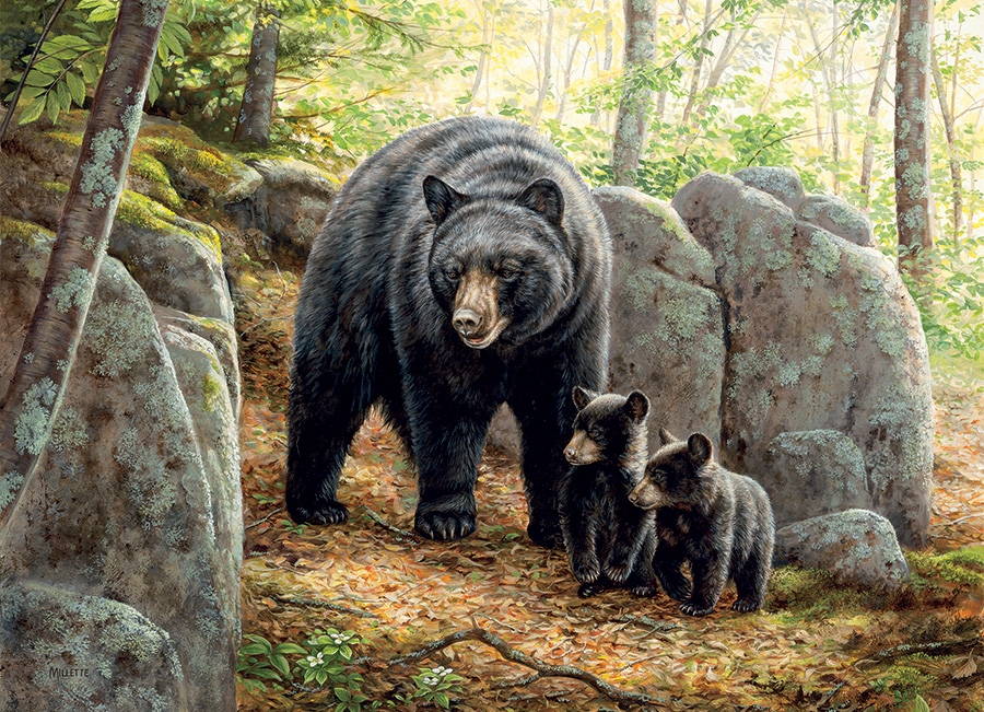 Puzzle Rosemary Millette: Mama Bear Cobble-Hill-51869 1000 pieces