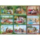 Squirrels on Vacation