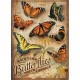 XXL Pieces - Backyard Butterflies