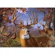 XXL Pieces - Deer and Pheasant