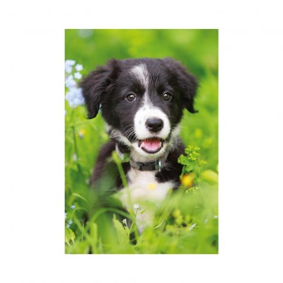 Dino-33122-Chien Mini-puzzle Dog