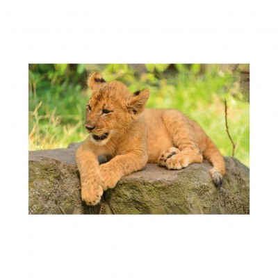 Dino-33122-Lion Mini-puzzle Lion
