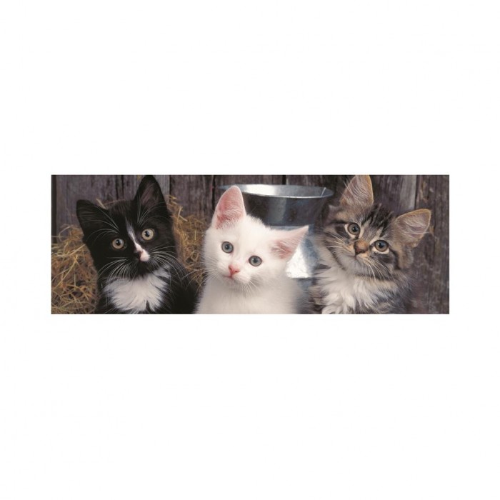 XXL Pieces - Three Kittens