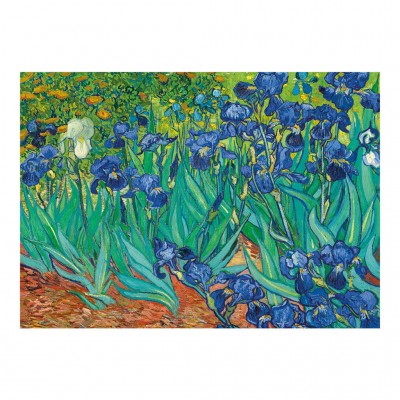 Puzzle Dino-53216 Vincent Van Gogh - Irises