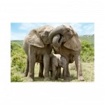 Puzzle  Dino-53295 Elephant Family