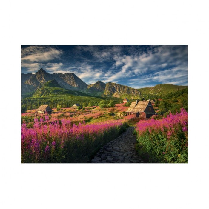 Puzzle  Dino-53300 Gasienica Valley