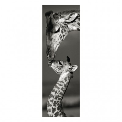 Puzzle Dino-54511 Giraffes