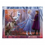   Frame Puzzle - Frozen 2