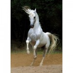  Dtoys-65988 Jigsaw Puzzle - 1000 Pieces - Horses :: White Horse