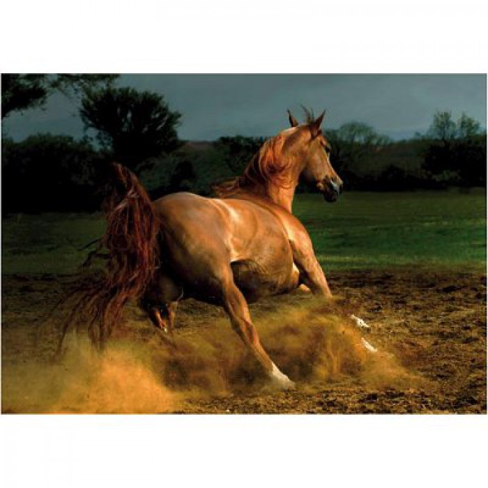  DToys-70388 Jigsaw Puzzle - 1000 Pieces - Horses : Beige Horse