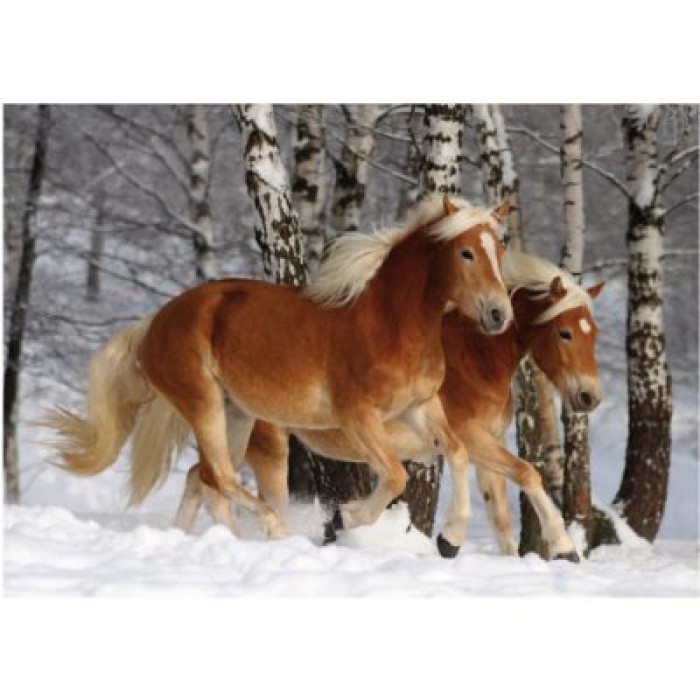Dtoys-70487 Jigsaw Puzzle - 239 Pieces - Horses Magic : Halflinger III