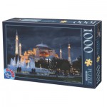 Puzzle  Dtoys-74829 Hagia Sophia, Istanbul