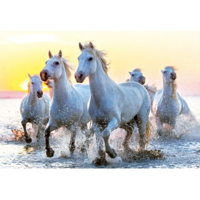 Puzzle Educa-17105 White Horses at Sunset