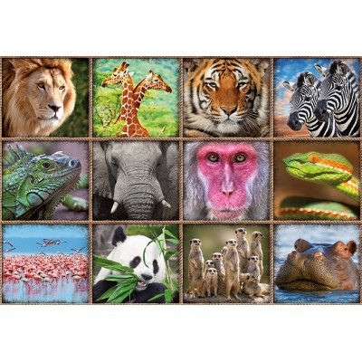Puzzle Educa-17656 Collage with Wild Animals