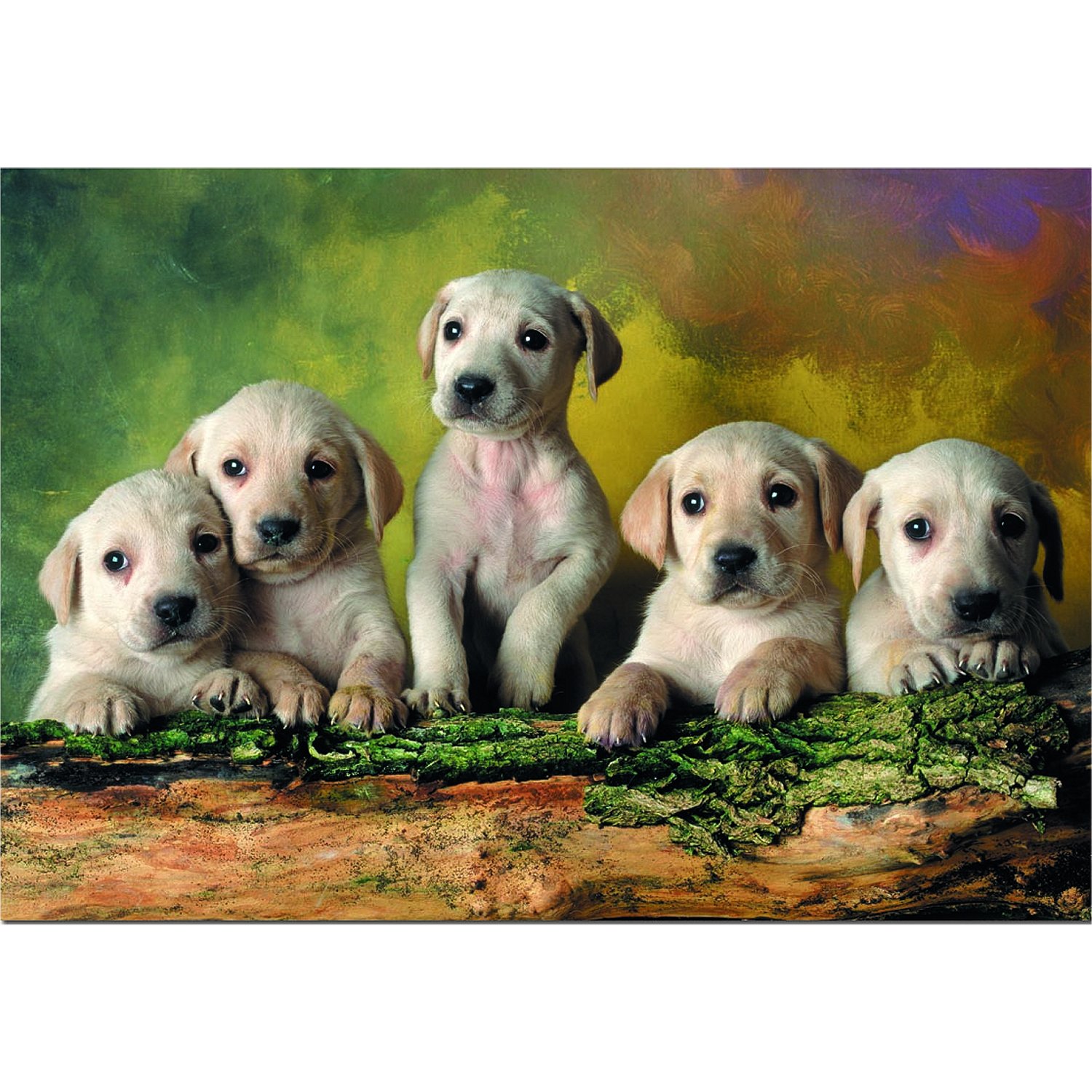 Labrador retriever hot sale jigsaw puzzles