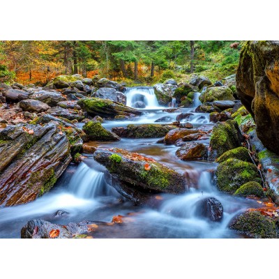 Puzzle Enjoy-Puzzle-1281 Forest Stream in Autumn