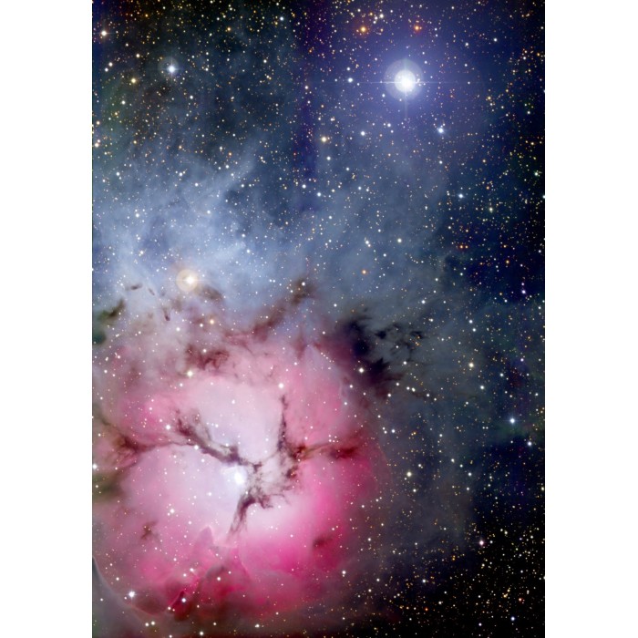 Puzzle Enjoy-Puzzle-1479 The Trifid Nebula