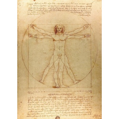 Puzzle Enjoy-Puzzle-1557 De Vinci - The Vitruvian Man