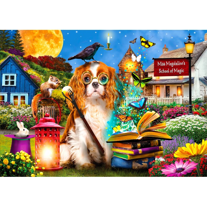 Puzzle  Enjoy-Puzzle-2039 Magic School