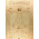 De Vinci - The Vitruvian Man