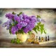 Lilac and Chess