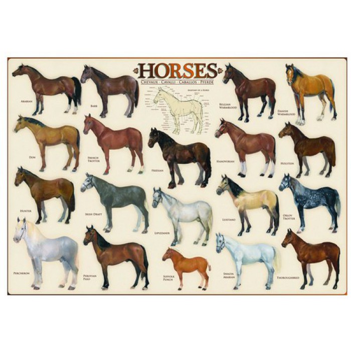 Puzzle  Eurographics-6000-0078 Horses