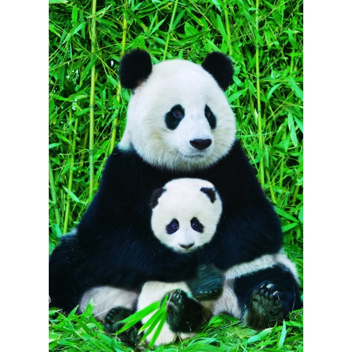 Puzzle  Eurographics-6000-0173 The Panda family