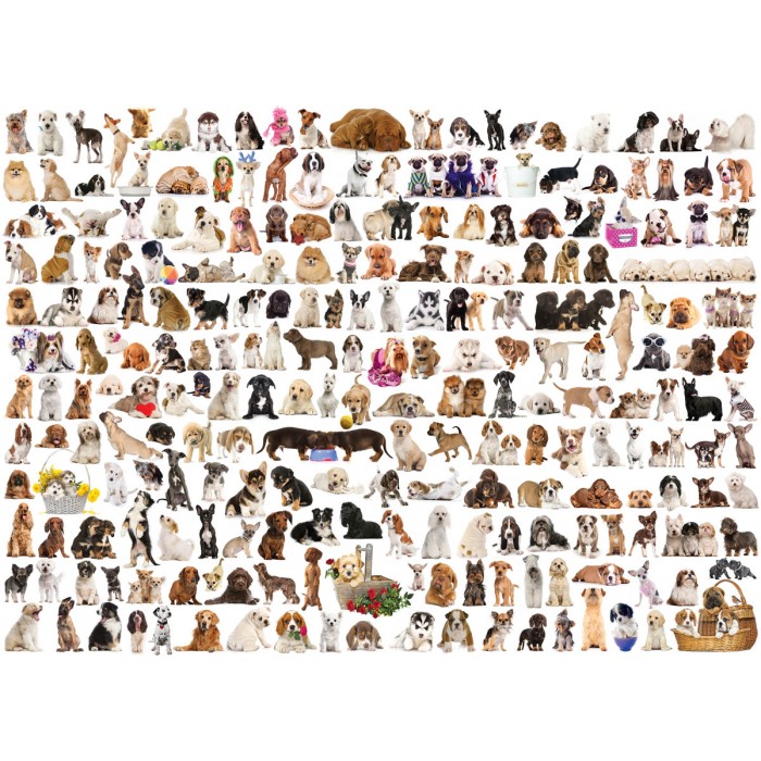 Puzzle  Eurographics-6000-0581 The World of Dogs