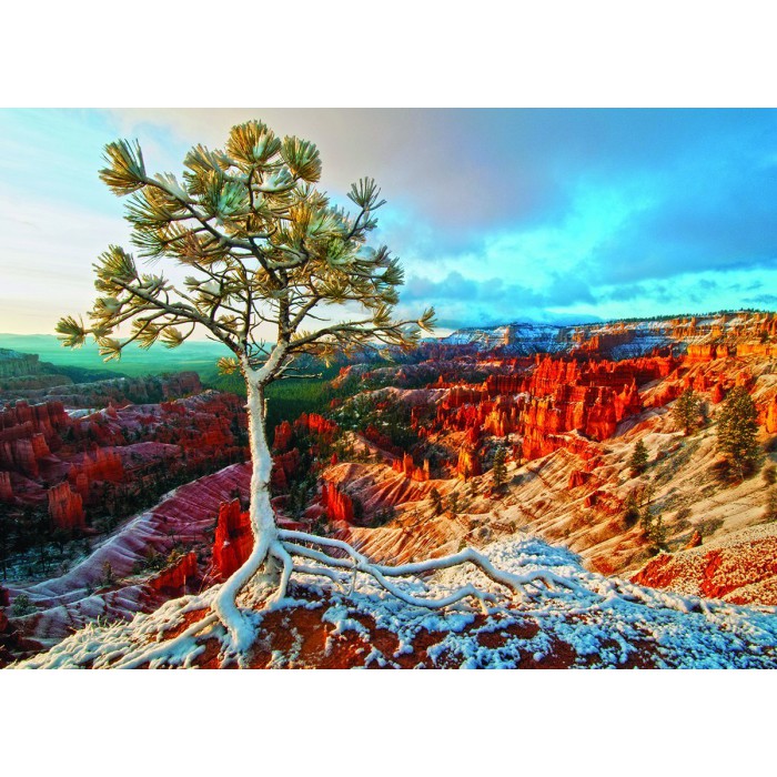 Puzzle Eurographics-6000-0692 Winter Sunrise