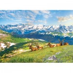 Puzzle  Eurographics-6000-5705 Mountain Elks