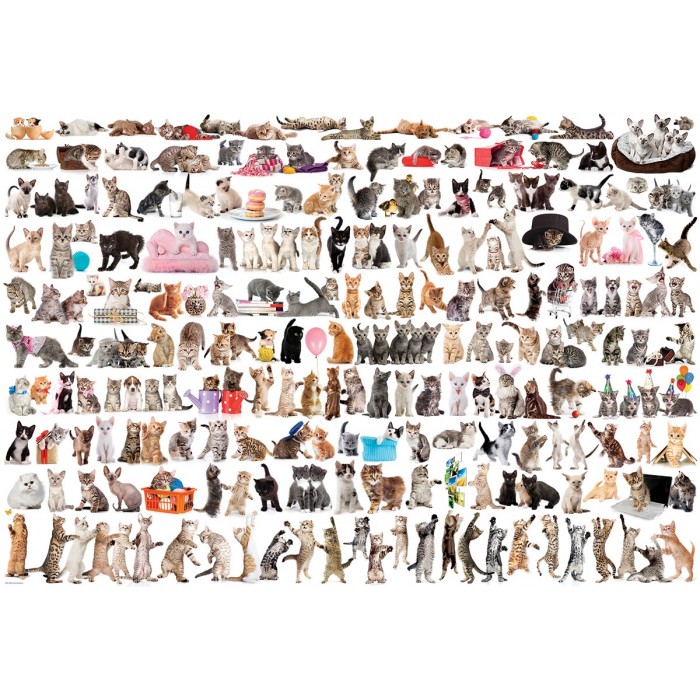 Puzzle Eurographics-8220-0580 