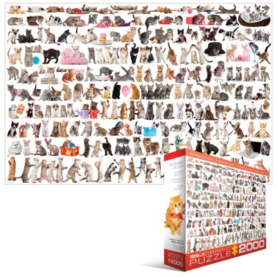 Puzzle Eurographics-8220-0580 