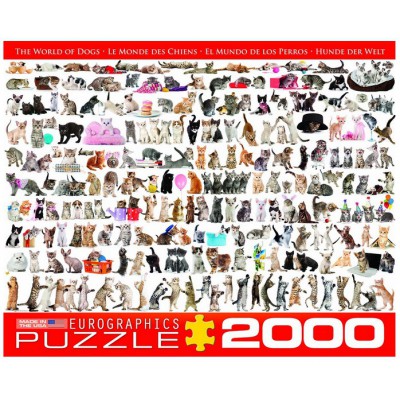 Puzzle Eurographics-8220-0580 