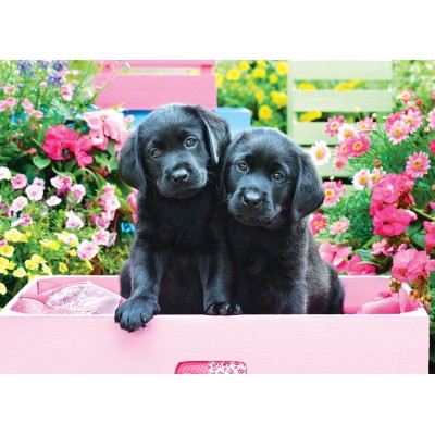 Puzzle Eurographics-8500-5462 XXL Pieces - Black Labs in Pink Box