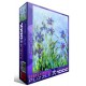 Claude Monet: Irises (Detail)