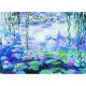 Claude Monet: the water lilies
