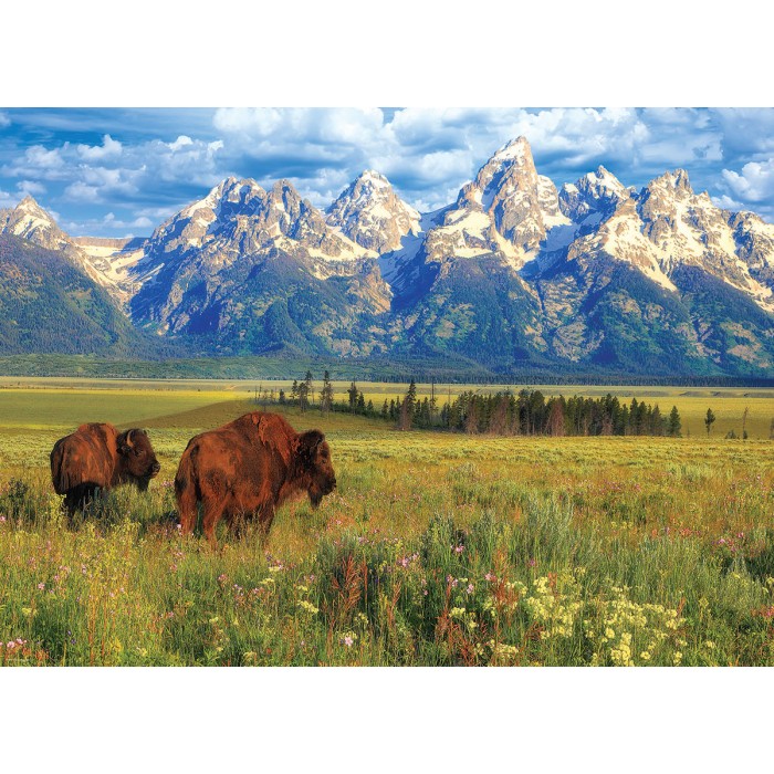 Puzzle   Grand Teton National Park