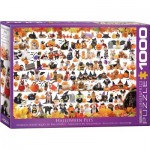 Puzzle   Halloween Puppies and Kittens