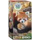 Save the Planet - Red Pandas