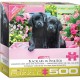 XXL Pieces - Black Labs in Pink Box