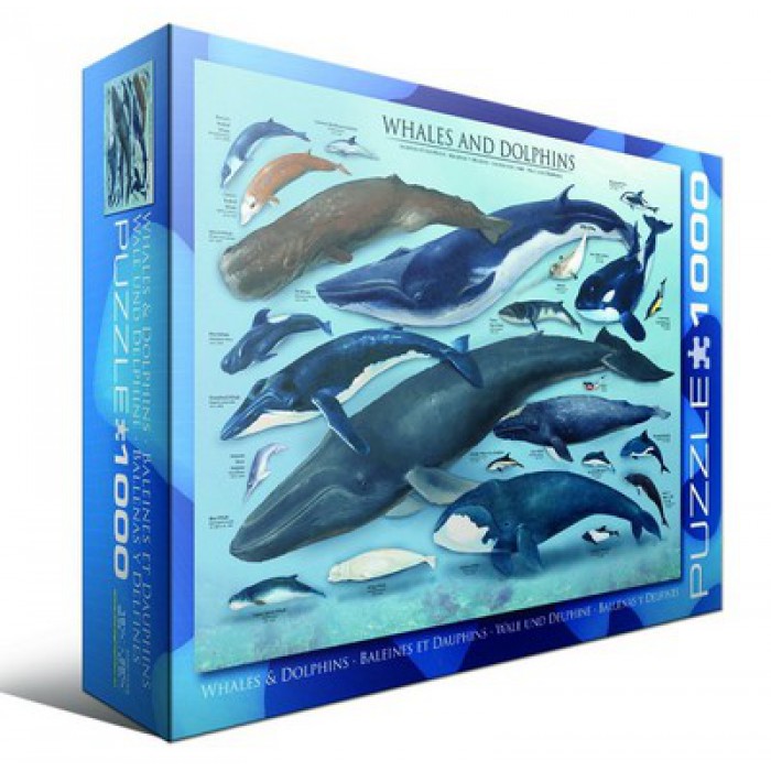 Educa 2000 Panorama Piece Jigsaw Puzzle Marine Life 2024 New (Blue Dolphin)