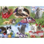 Puzzle  Gibsons-G2253 XXL Pieces - Cats