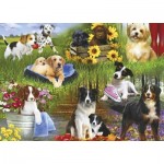 Puzzle  Gibsons-G2254 XXL Pieces - Dogs