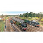  Gibsons-G4018 Jigsaw Puzzle - 636 Pieces - Panoramic - New Forest Junction